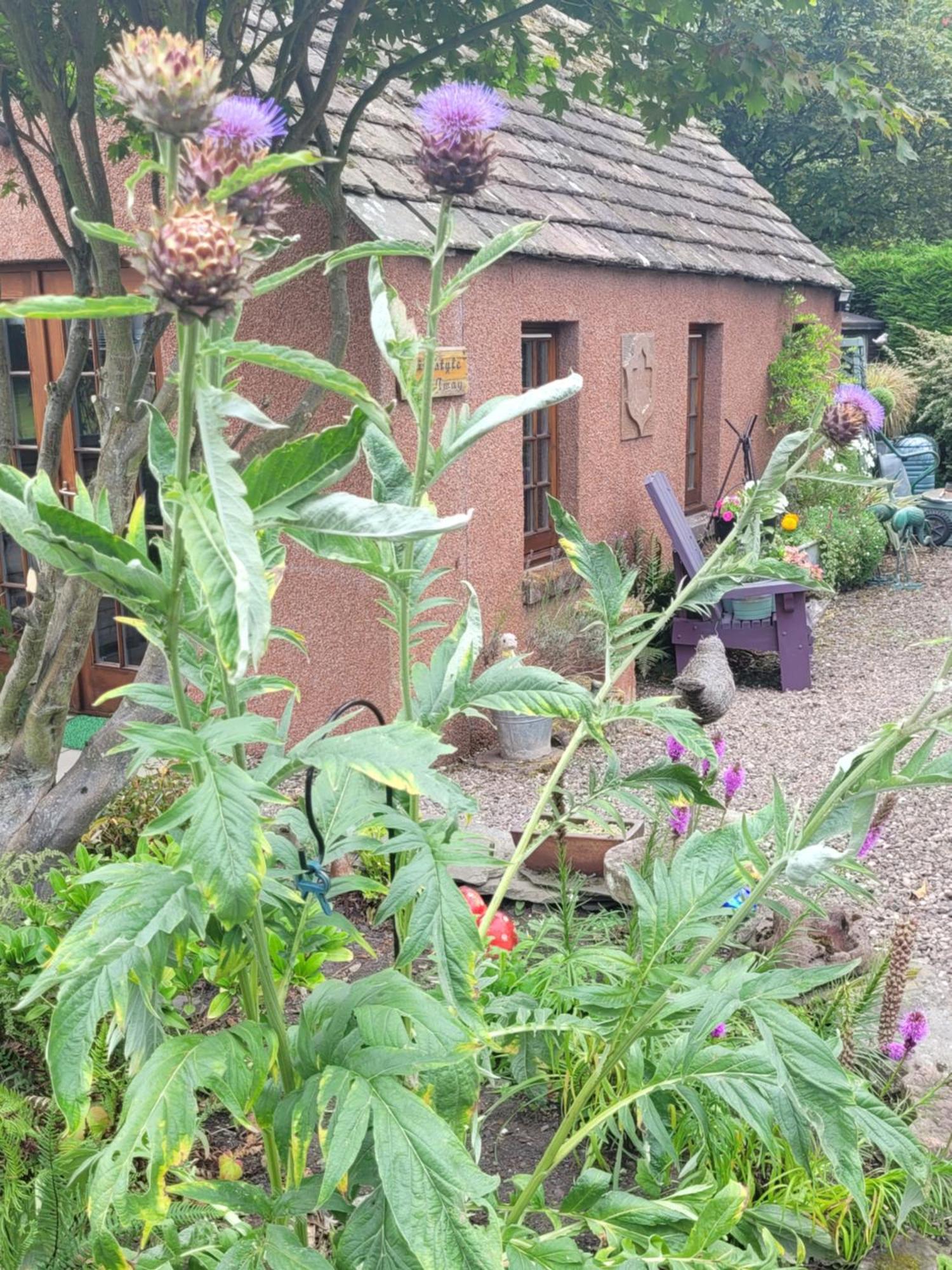 Kirkstyle Hideaway Bed & Breakfast Arbroath Dış mekan fotoğraf
